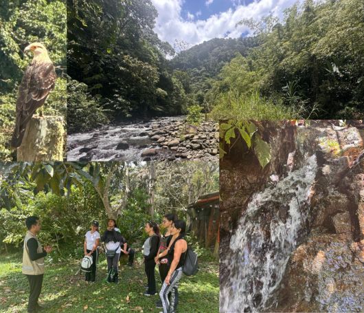 Caminata audifarma.jpg